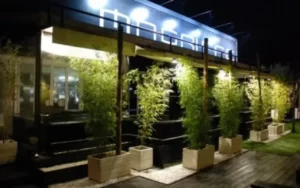 Magriffe di San Vittore Olona