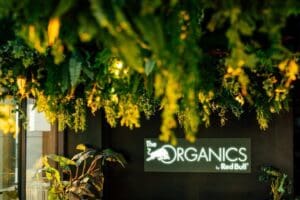 Capodanno Organic-Hyatt Sky Garden