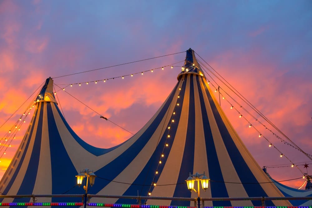 CIRCO DARIX ORFEI